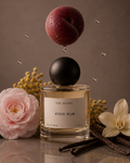 Kyoto Plum