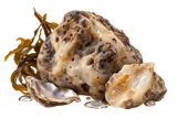 Ambergris