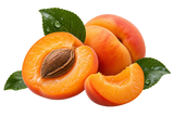 Apricot