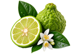 Bergamot