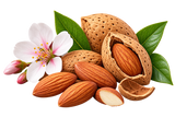 Bitter Almond