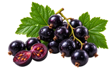 Blackcurrant