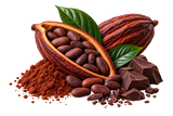 Cacao
