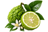 Calabrian Bergamot