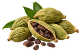 Cardamom