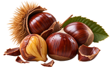 Chestnut