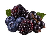 Dark Berries