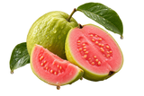 Guava