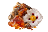 Labdanum