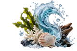 Marine Notes