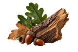 Oak
