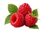 Raspberry