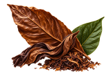 Tobacco Leaf