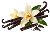 Vanilla