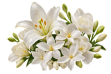 White Flowers