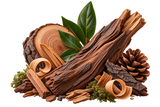 Woody Notes
