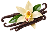 Madagascar Vanilla